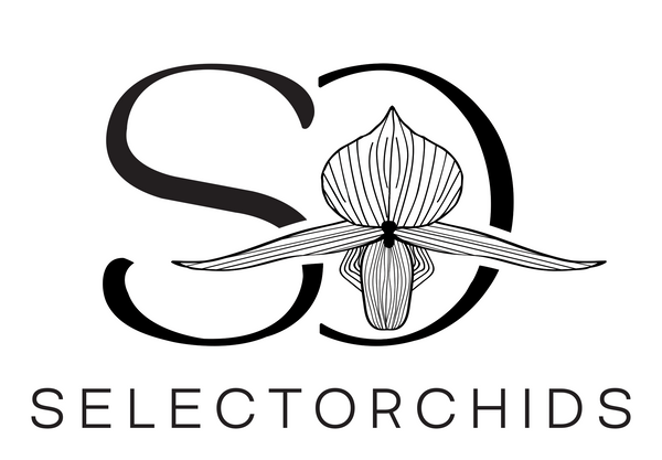 Selectorchids